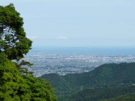 画像19